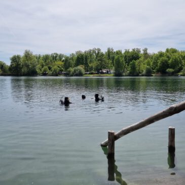 Antauchen im Brechtsee