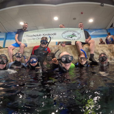Apnoe-Ausbildung im Dive4Life